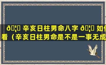 🦉 辛亥日柱男命八字 🦈 如何看（辛亥日柱男命是不是一事无成）
